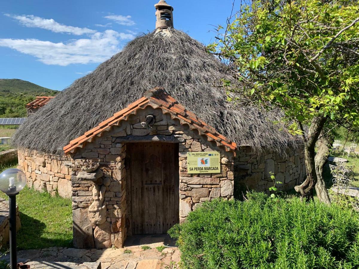 Agriturismo Sa Perda Marcada アルブス エクステリア 写真